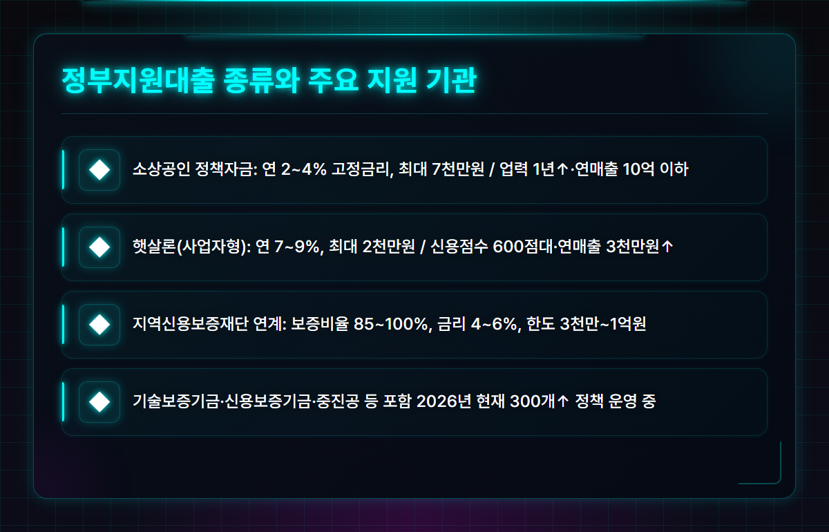 개인사업자정부지원대출