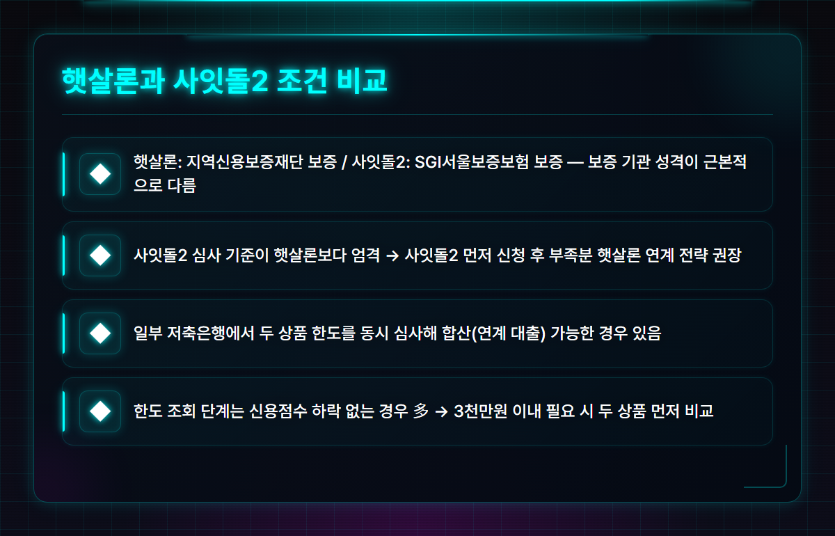 개인사업자정부지원대출