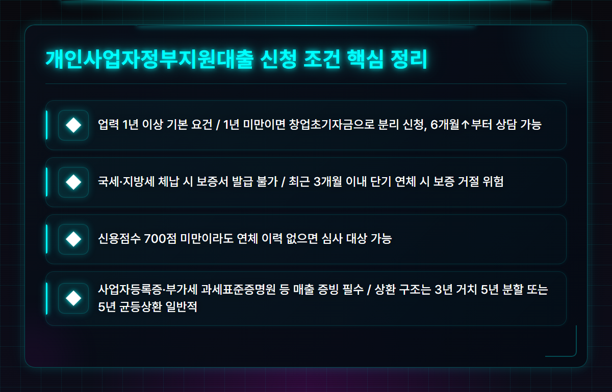 개인사업자정부지원대출