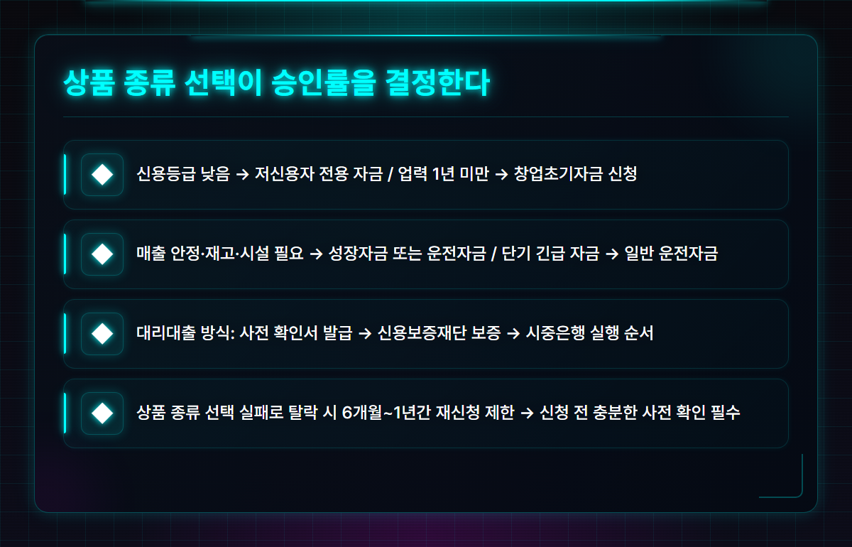 개인사업자정부지원대출